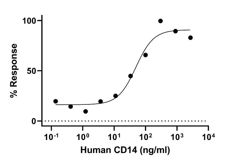 Functional Studies - Recombinant Human CD14 Protein (Active) (AB290112)