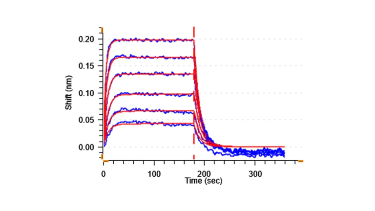 Biological Activity - Recombinant Human CD166 protein (Active) (AB288795)
