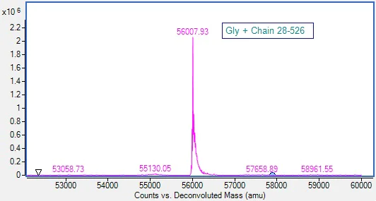 Mass Spectrometry - Recombinant Human CD166 protein (Active) (AB288795)