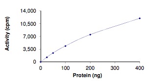 Functional Studies - Recombinant human CD167a/DDR1 (mutated S496A) protein (AB204092), expandable thumbnail