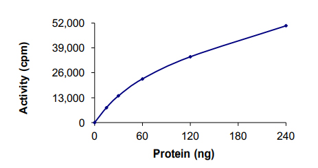 Functional Studies - Recombinant human CD167a/DDR1 protein (AB101591), expandable thumbnail
