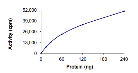 Functional Studies - Recombinant human CD167a/DDR1 protein (AB101591)