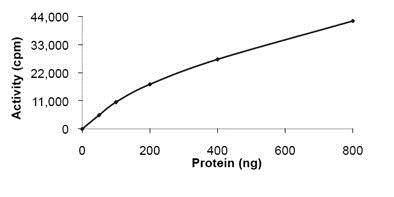 Functional Studies - Recombinant human CD167a/DDR1 protein (AB101591), expandable thumbnail