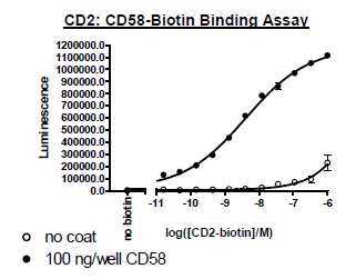 Recombinant human CD2 protein (Active) (Biotin)