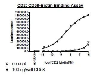 Functional Studies - Recombinant human CD2 protein (Active) (Biotin) (Fc tag C-Terminus + Avi tag C-Terminus) (AB271412)