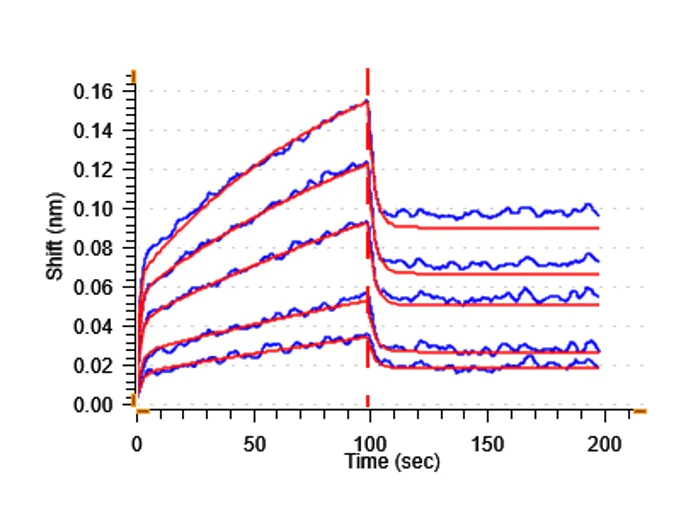 Biological Activity - Recombinant Human CD2 protein (His tag) (Active) (AB307478)