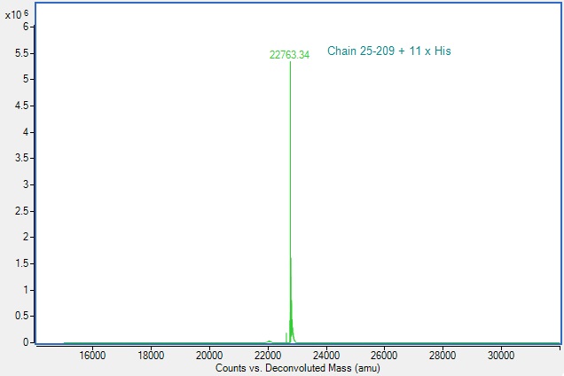 Mass Spectrometry - Recombinant Human CD2 protein (His tag) (Active) (AB307478), expandable thumbnail