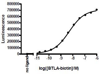 Recombinant human CD272/BTLA protein (Active) (Biotin)