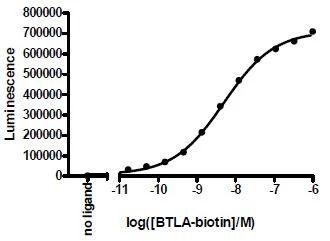 Functional Studies - Recombinant human CD272/BTLA protein (Active) (Biotin) (Fc tag C-Terminus + Avi tag C-Terminus) (AB271393)