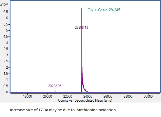 Mass Spectrometry - Recombinant Human CD276 Protein (AB307810)