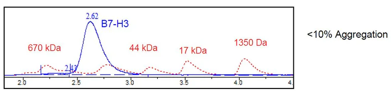 Size Exclusion Chromatography - Recombinant Human CD276 protein (Biotin) (Avi tag C-Terminus + His tag C-Terminus) (AB271421)