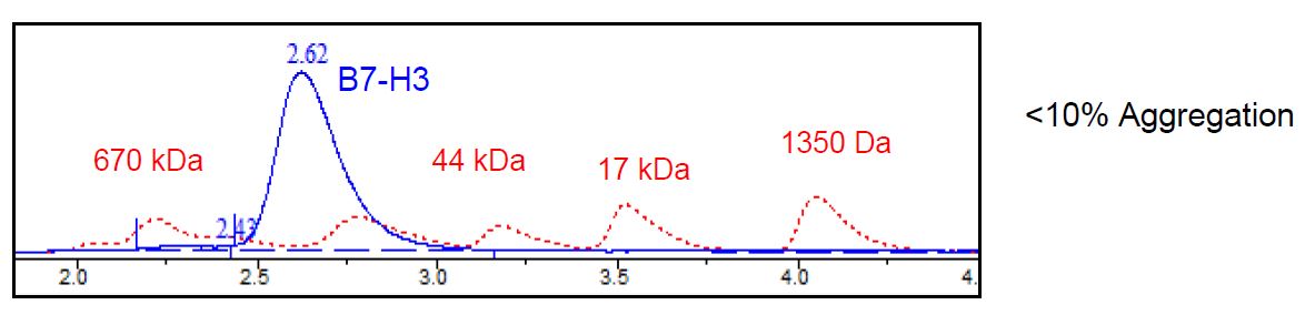 Size Exclusion Chromatography - Recombinant Human CD276 protein (Tagged) (Biotin) (AB271421), expandable thumbnail