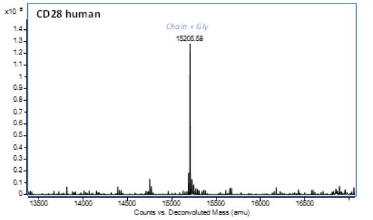 Mass Spectrometry - Recombinant human CD28 protein (AB283920)