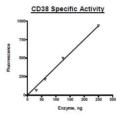 Functional Studies - Recombinant human CD38 protein (Active) (AB269980)