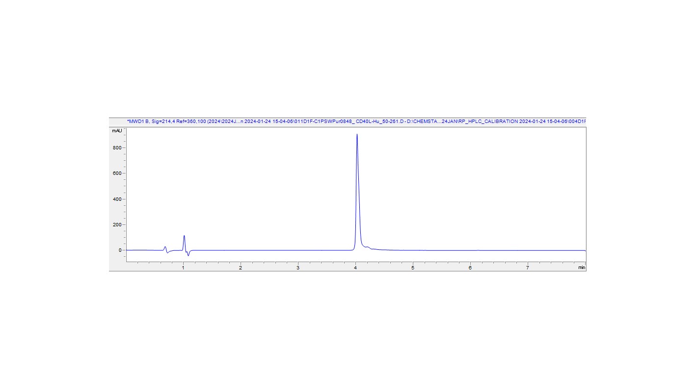 HPLC - Recombinant Human CD40 Ligand Protein (His-tag) (AB317872), expandable thumbnail