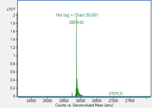 Mass Spectrometry - Recombinant Human CD40 Ligand Protein (His-tag) (AB317872), expandable thumbnail