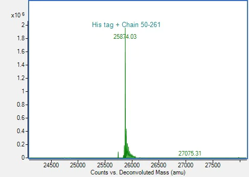 Mass Spectrometry - Recombinant Human CD40 Ligand Protein (His-tag) (AB317872)