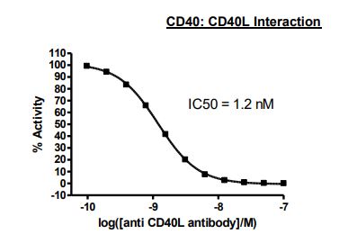 Recombinant human CD40 protein (Active) (Biotin)