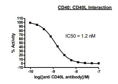Functional Studies - Recombinant human CD40 protein (Active) (Biotin) (Fc tag C-Terminus + Avi tag C-Terminus) (AB271432)