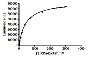 Functional Studies - Recombinant human CD47 protein (Active) (His tag C-Terminus) (AB271439)