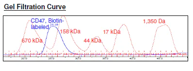 Size Exclusion Chromatography - Recombinant Human CD47 protein (Biotin) (Fc tag C-Terminus + Avi tag C-Terminus) (AB271437)