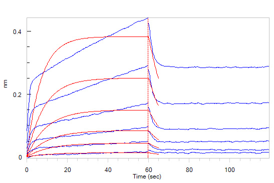 Biological Activity - Recombinant human CD47 protein (Fc Chimera Active) (AB220559), expandable thumbnail