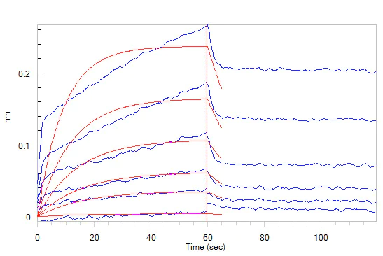 Biological Activity - Recombinant human CD47 protein (Fc Chimera Active) (AB220587)