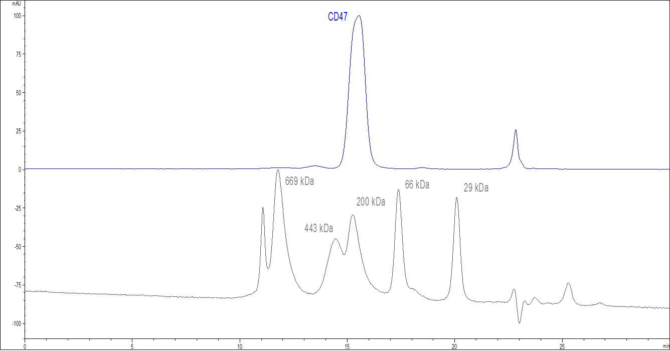 Functional Studies - Recombinant human CD47 protein (Fc Chimera Active) (ab220587), expandable thumbnail