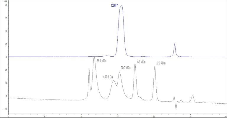 Functional Studies - Recombinant human CD47 protein (Fc Chimera Active) (AB220587)