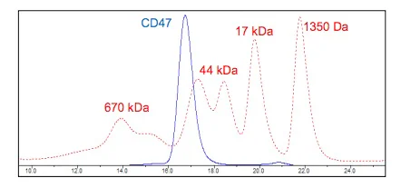 Size Exclusion Chromatography - Recombinant Human CD47 protein (Fc tag C-Terminus) (AB216207)