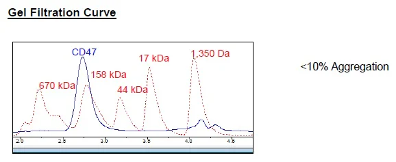 Size Exclusion Chromatography - Recombinant Human CD47 protein (Fc tag C-Terminus + Avi tag C-Terminus) (AB271435)