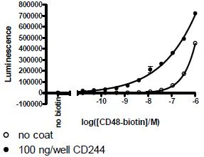 Functional Studies - Recombinant human CD48 protein (Active) (Biotin) (Avi tag C-Terminus + Fc tag C-Terminus) (AB271441)