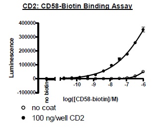 Functional Studies - Recombinant human CD58 protein (Active) (Biotin) (AB271442)