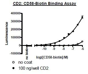 Functional Studies - Recombinant human CD58 protein (Active) (Biotin) (Fc tag C-Terminus + Avi tag C-Terminus) (AB271442)
