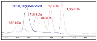 Size Exclusion Chromatography - Recombinant human CD58 protein (Active) (Biotin) (Fc tag C-Terminus + Avi tag C-Terminus) (AB271442)