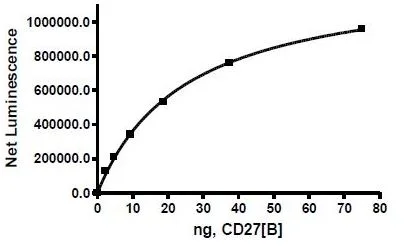 Functional Studies - Recombinant human CD70 protein (Active) (His tag C-Terminus + Avi tag C-Terminus) (AB271444)