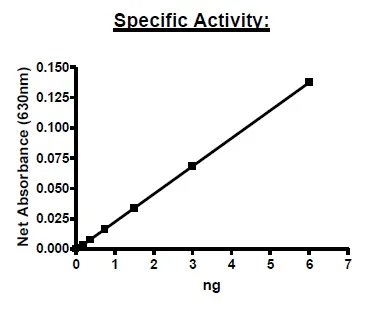 Functional Studies - Recombinant human CD73 protein (Active) (Biotin) (Avi tag C-Terminus + His tag C-Terminus) (AB271447)