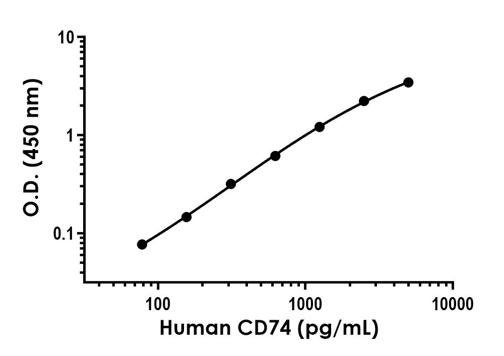 Sandwich ELISA - Recombinant Human CD74 Protein Standard (His tag) (AB315990), expandable thumbnail