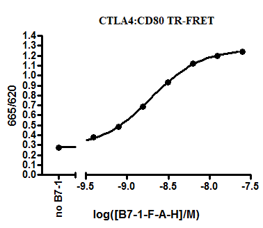 Recombinant human CD80 protein (Active)