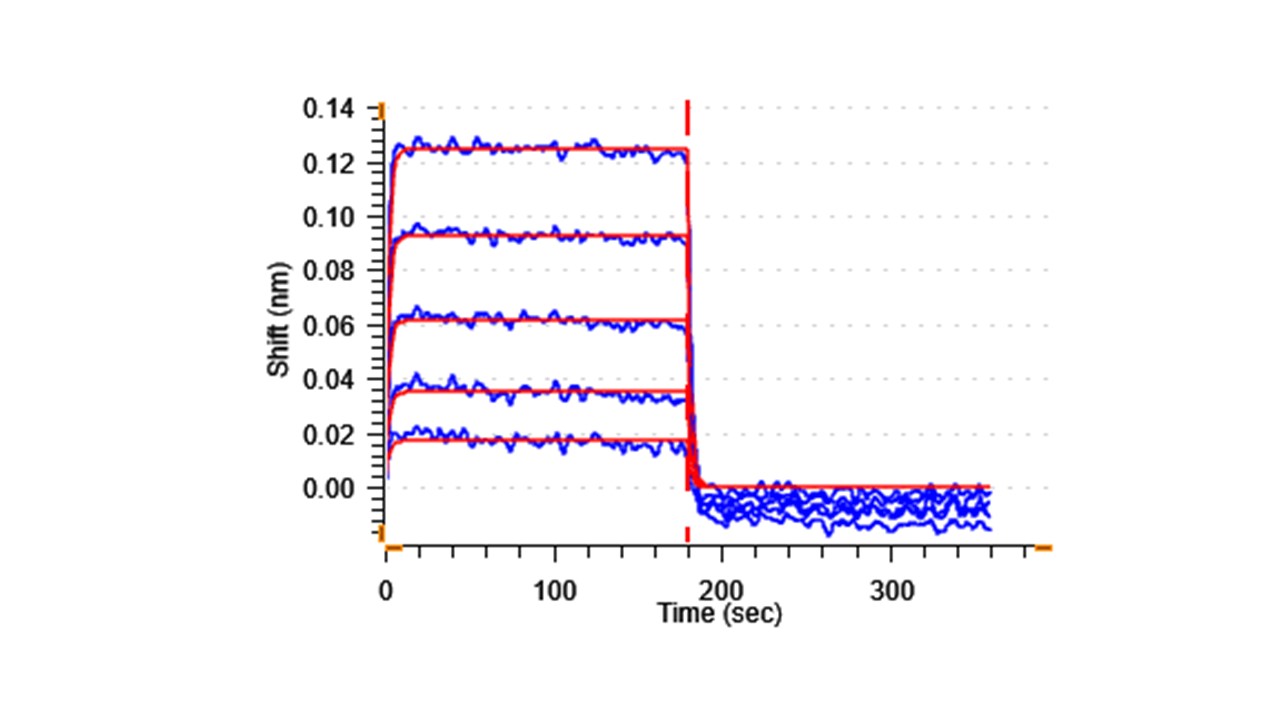 Biological Activity - Recombinant Human CD80 protein (Active) (AB288813), expandable thumbnail