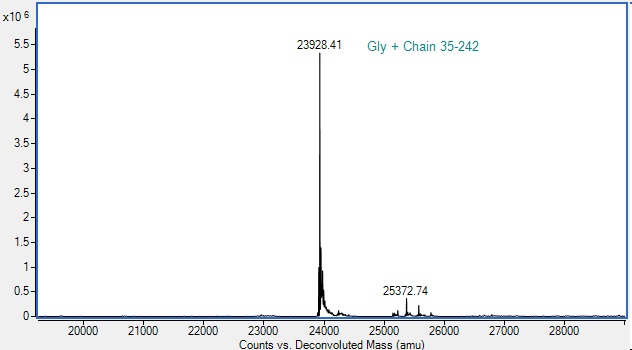 Mass Spectrometry - Recombinant Human CD80 protein (Active) (AB288813), expandable thumbnail