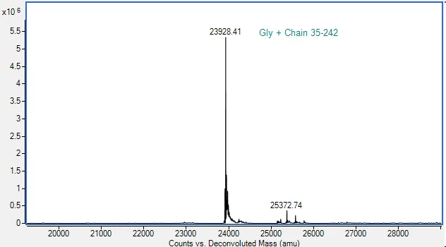 Mass Spectrometry - Recombinant Human CD80 protein (Active) (AB288813)