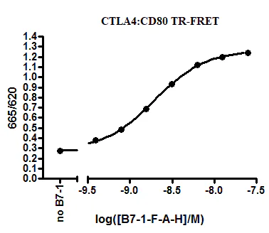 Functional Studies - Recombinant human CD80 protein (Active) (DDDDK tag C-Terminus + Avi tag C-Term + His tag C-Term) (AB271371)