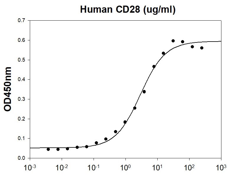 Biological Activity - Recombinant human CD80 protein (His tag) (AB227403)