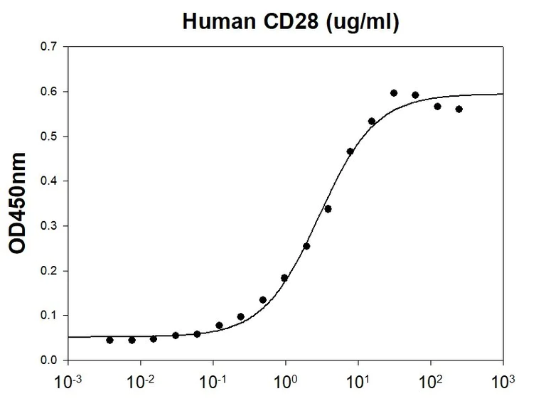 Biological Activity - Recombinant human CD80 protein (His tag C-Terminus) (AB227403)