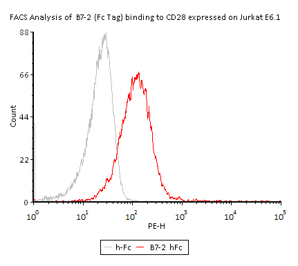 Functional Studies - Recombinant human CD86 protein (Fc Chimera) (AB167720), expandable thumbnail