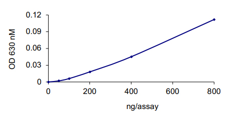 Recombinant human Cdc25C protein