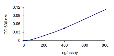 Functional Studies - Recombinant human Cdc25C protein (AB105911)
