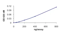 Functional Studies - Recombinant human Cdc25C protein (GST tag N-Terminus) (AB105911)
