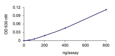 Functional Studies - Recombinant human Cdc25C protein (GST tag N-Terminus) (AB105911)